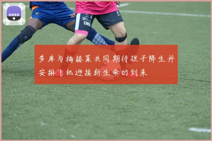 多库与梅赫莱共同期待孩子降生并安排飞机迎接新生命的到来