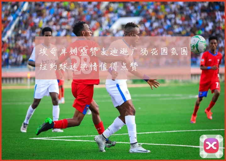 埃奇库姆盛赞麦迪逊广场花园氛围纽约球迷热情值得点赞