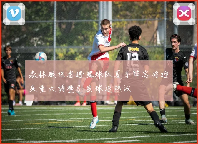 森林狼记者透露球队夏季阵容将迎来重大调整引发球迷热议